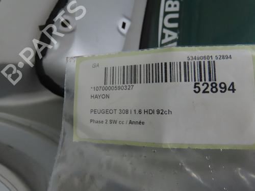 Tailgate PEUGEOT 308 SW I (4E_, 4H_) 1.6 HDi | BP28969207C6 