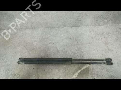 Used Tailgate lift support RENAULT SCÉNIC II (JM0/1_) 1.5 dCi (JM1E, JM16) (106 hp) 14879904