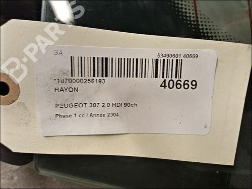 Tailgate PEUGEOT 307 (3A/C) 2.0 HDi 90 | BP9618974C6 
