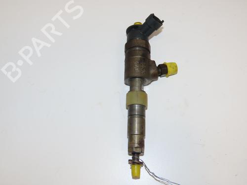 Injector FORD FIESTA VI (CB1, CCN) 1.4 TDCi | BP29263753M100
