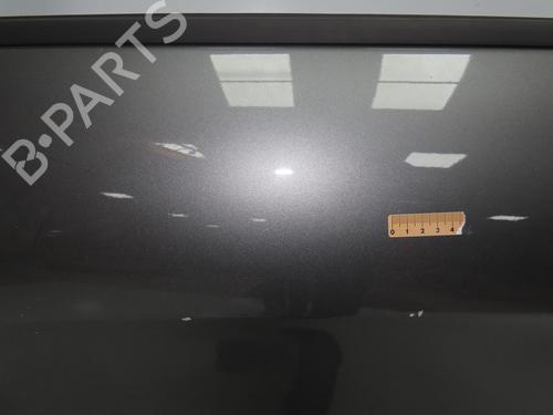 Used Left front door MERCEDES-BENZ A-CLASS (W169) A 180 CDI (169.007, 169.307) (109 hp) 28801942