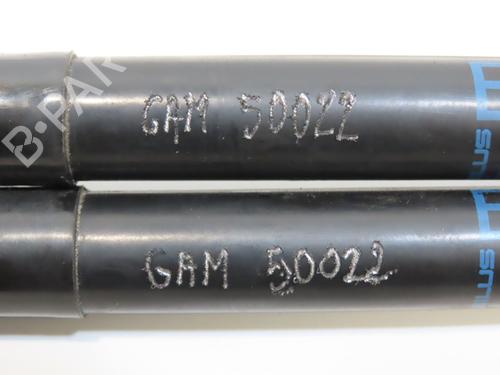 Hood lift support BMW 1 (E87) 118 d | BP19319552C139 