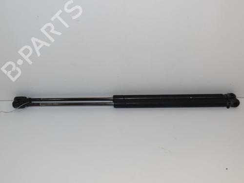 Gassdemper Bakluke RENAULT SCÉNIC II (JM0/1_) 1.5 dCi (JM1E, JM16) (106 hp) 19747734