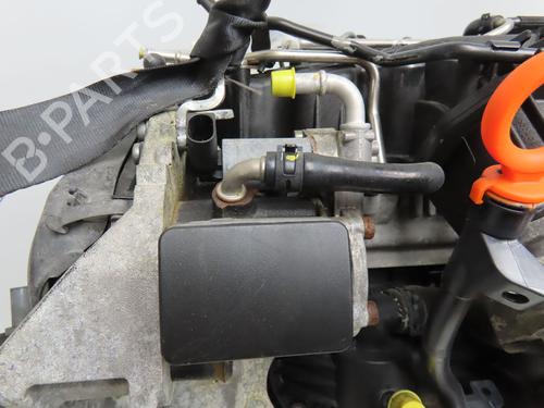 Engine SEAT LEON (1P1) 1.6 TDI | BP40050794M1 - Image 4