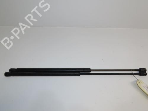 Tailgate lift support RENAULT SCÉNIC I MPV (JA0/1_, FA0_) 1.9 dCi (JA05, JA1F) | BP30916928C138