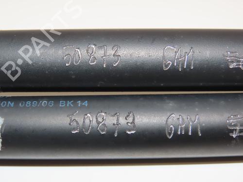 Gassdemper Bakluke VW GOLF PLUS V (5M1, 521) 1.6 FSI (115 hp) 28832273