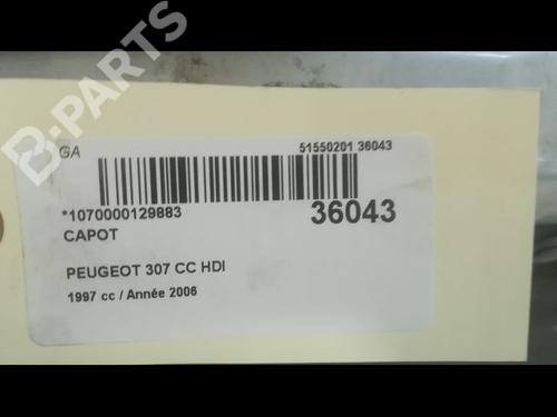 Hood PEUGEOT 307 CC (3B) 2.0 HDi 135 | BP9599023C1 