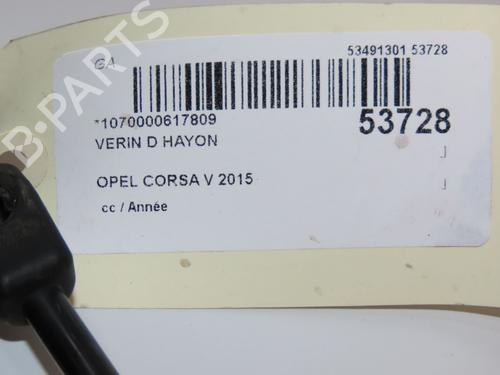 Gassdemper Bakluke OPEL CORSA E (X15) 1.3 CDTI (08, 68) (75 hp) 28969311