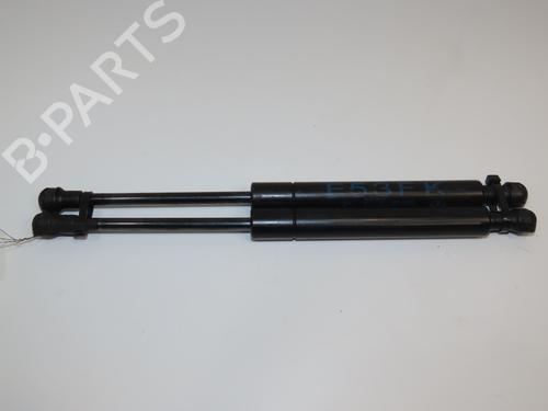 Used Hood lift support BMW X5 (E53) 3.0 d (184 hp) 19061223