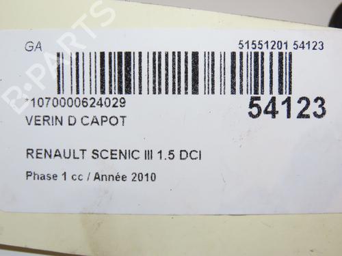 Used Hood lift support RENAULT SCÉNIC III (JZ0/1_) 1.5 dCi (106 hp) 28831057