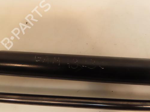 Tailgate lift support VW GOLF V (1K1) 1.9 TDI | BP16572928C138 