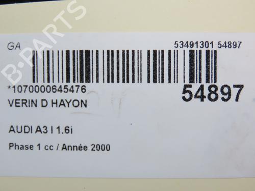 Gassdemper Bakluke AUDI A3 (8L1) 1.6 | BP30893464C138