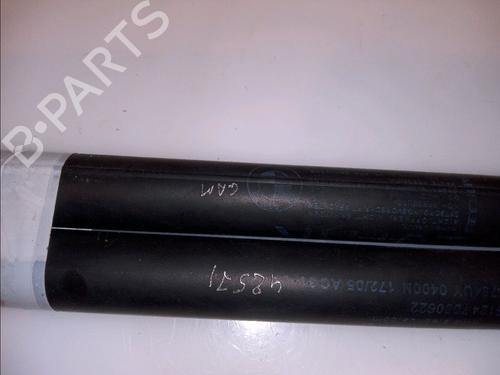 Tailgate lift support BMW 1 (E87) 120 d | BP14880057C138 