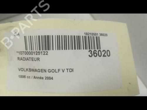 Used Water radiator VW GOLF V (1K1) 1.9 TDI (90 hp) 9598741
