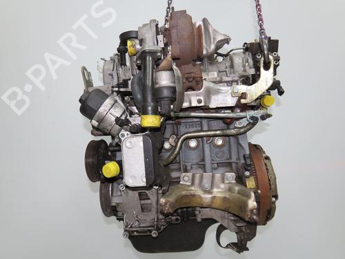 Engine FIAT 500 (312_) 1.3 D Multijet (312AXE1A) | BP37596638M1 - Image 8