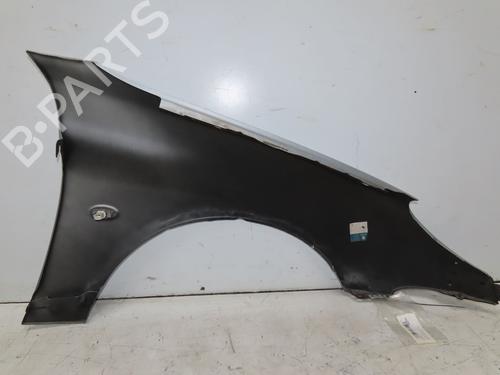 Left front fenders PEUGEOT 206 Hatchback (2A/C) 1.4 i | BP28968360C41 