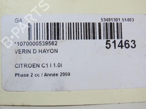 Used Tailgate lift support CITROËN C1 (PM_, PN_) 1.0 (68 hp) 22751232