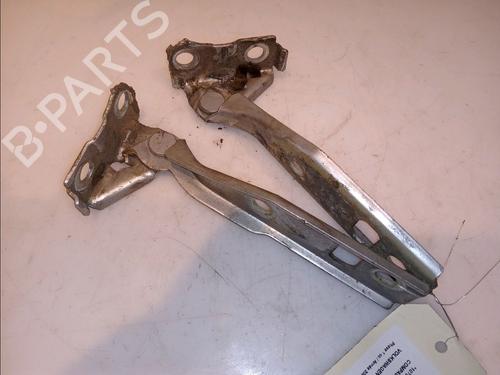 Hinge/Door check strap VW GOLF IV (1J1) 1.9 TDI | BP14878988C146 