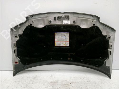 Hood FIAT PANDA (169_) 1.3 D Multijet (169.AXC1A) | BP18646070C1 