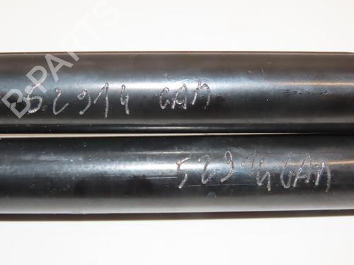 Hood lift support DACIA DUSTER (HM_) 1.3 TCe 150 (HMM3) | BP28831055C139 