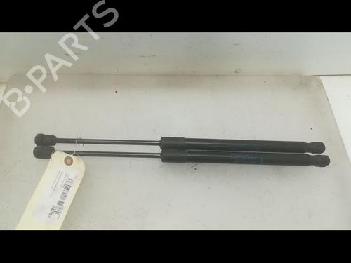 Used Tailgate lift support RENAULT MEGANE III Hatchback (BZ0/1_, B3_) 1.5 dCi (BZ09, BZ0D, BZ1W, BZ29, BZ14) (110 hp) 14879615