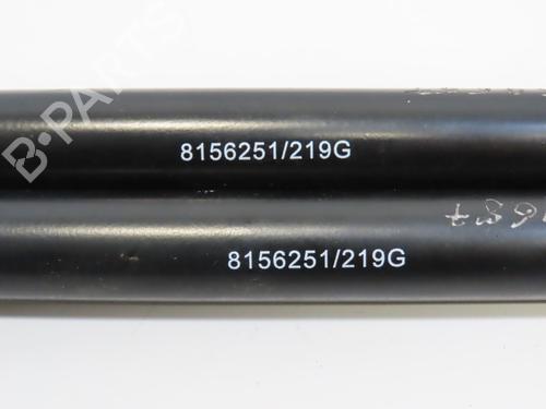 Tailgate lift support RENAULT LAGUNA III (BT0/1) 2.0 dCi (BT07, BT0J, BT14, BT1A, BT1S) | BP28832316C138 