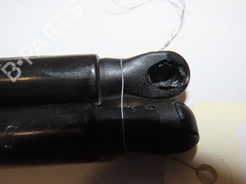 Used Tailgate lift support RENAULT CLIO V (B7_) 1.0 SCe 65 (B7MG) (67 hp) 29441813