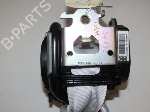 Front left belt tensioner RENAULT SCÉNIC III (JZ0/1_) 1.5 dCi | BP29294192C87 