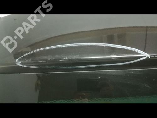 Tailgate RENAULT MEGANE III Hatchback (BZ0/1_, B3_) 1.5 dCi (BZ0C) | BP11082674C6 