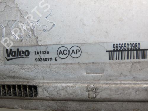 Other CITROËN C4 Picasso I MPV (UD_) 1.6 HDi | BP30403994O1
