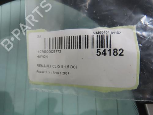 Tailgate RENAULT CLIO III (BR0/1, CR0/1) 1.5 dCi (BR17, CR17) | BP28802181C6 