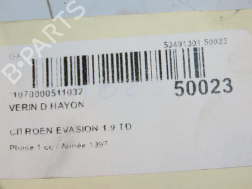 Used Tailgate lift support CITROËN EVASION MPV (22, U6) 1.9 TD (90 hp) 23177397