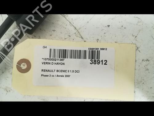 Tailgate lift support RENAULT GRAND SCÉNIC II (JM0/1_) 1.5 dCi (JM1E) | BP14879823C138 