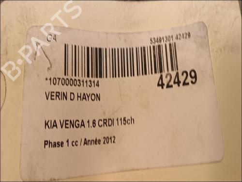 Used Tailgate lift support KIA VENGA (YN) 1.6 CRDi 115 (116 hp) 14880047