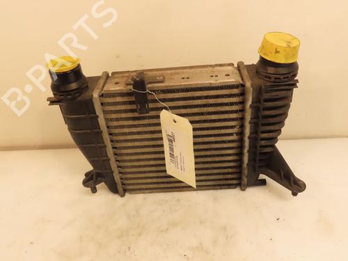 Used Other RENAULT CLIO III (BR0/1, CR0/1) 1.5 dCi (75 hp) 16555551