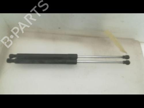Used Tailgate lift support RENAULT CLIO III (BR0/1, CR0/1) 1.5 dCi (BR17, CR17) (86 hp) 14879640