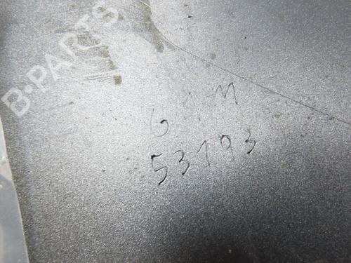 Left front fenders RENAULT SCÉNIC III (JZ0/1_) 1.5 dCi | BP28801868C41