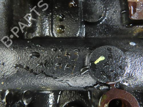 Engine RENAULT TWINGO II (CN0_) 1.5 dCi 75 | BP32223329M1