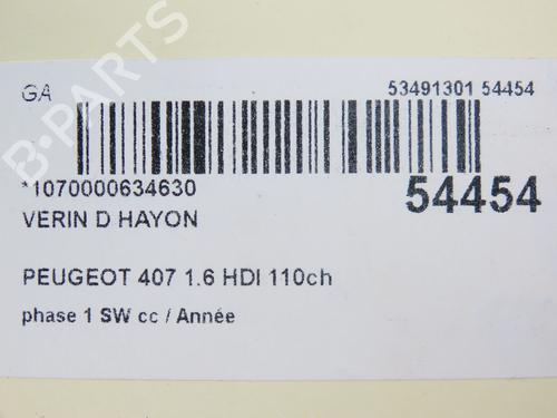 Gassdemper Bakluke PEUGEOT 407 SW (6E_, 6D_) 1.6 HDi 110 (109 hp) 28832314