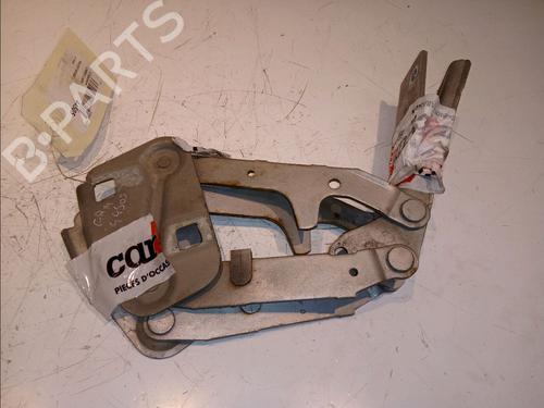 Hinge/Door check strap PEUGEOT 406 (8B) 2.0 HDI 110 | BP23175437C146 