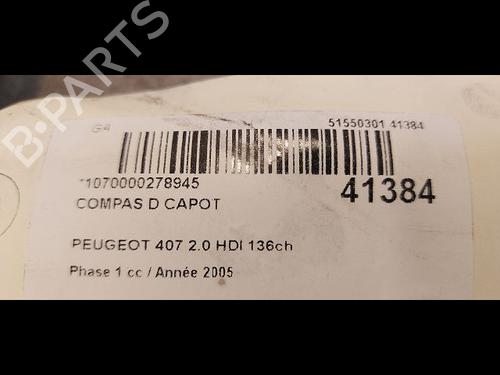 Used Hinge/Door check strap PEUGEOT 407 (6D_) 2.0 HDi 135 (6DRHRH, 6DRHRE, 6DRHRG, 6DRHRJ) (136 hp) 14878940