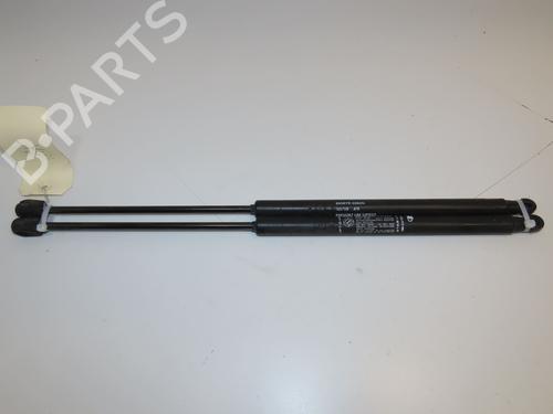 Used Tailgate lift support FIAT BRAVO II (198_) 1.6 D Multijet (198AXH1B) (105 hp) 28969287
