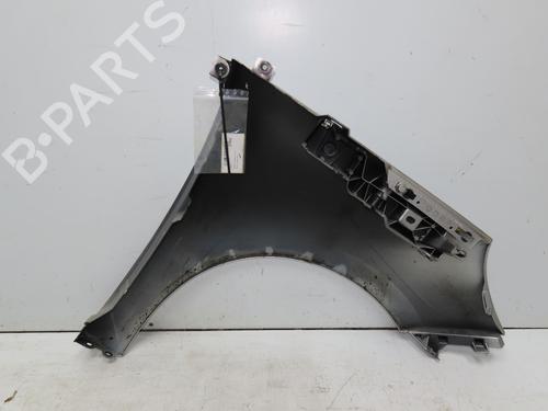Left front fenders RENAULT SCÉNIC III (JZ0/1_) 1.5 dCi | BP28968330C41 