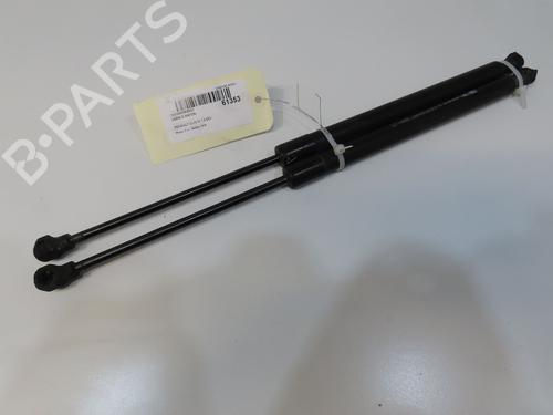 tailgate-lift-support-renault-clio-iv-bh_-2012-2013-2014-2015-2016-2017-2018-2019-2020-2021-39039410 main image