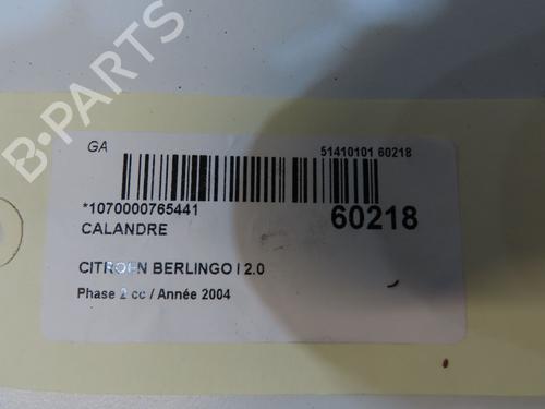 Used Grille Grille 38762300 38762300
