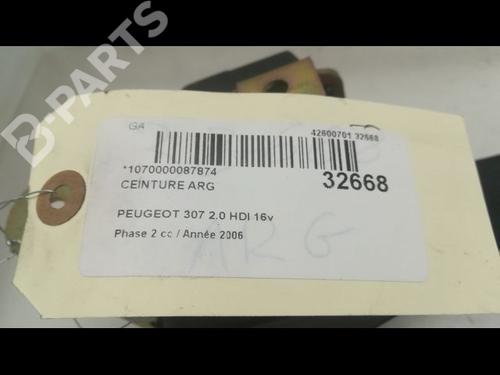 Rear left belt tensioner PEUGEOT 307 CC (3B) 2.0 HDi 135 | BP9596620C89 