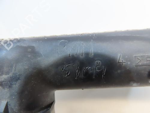 Køler CITROËN DS4 (NX_) 1.6 HDi 110 (112 hp) 31030163