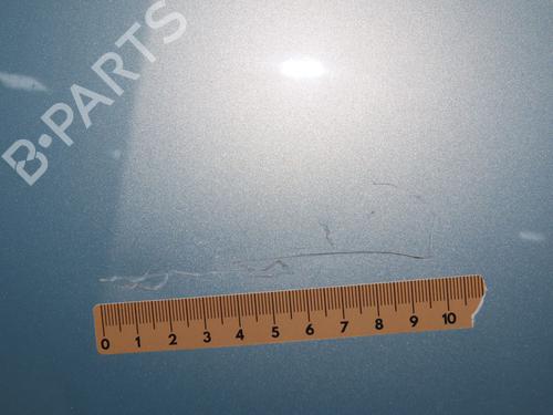 Hood RENAULT MODUS / GRAND MODUS (F/JP0_) 1.2 16V (JP0W) | BP28831016C1 