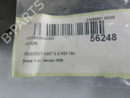 Bagklap CC/Kombi-Coupé PEUGEOT 4007 (VU_, VV_) 2.2 HDi (156 hp) 30556769