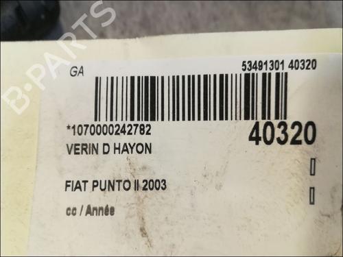 Tailgate lift support FIAT PUNTO (188_) 1.2 16V 80 (188.233, .235, .253, .255, .333, .353, .639,... | BP14879933C138 